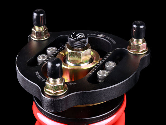Skunk2 06-11 Honda Civic Si Pro ST Coilovers