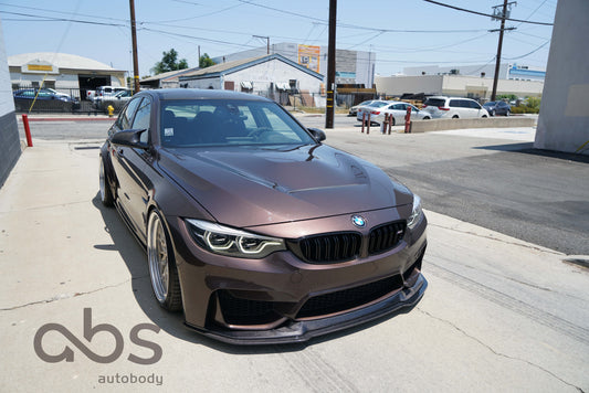 F8X CSV2 LIP PROTECTOR