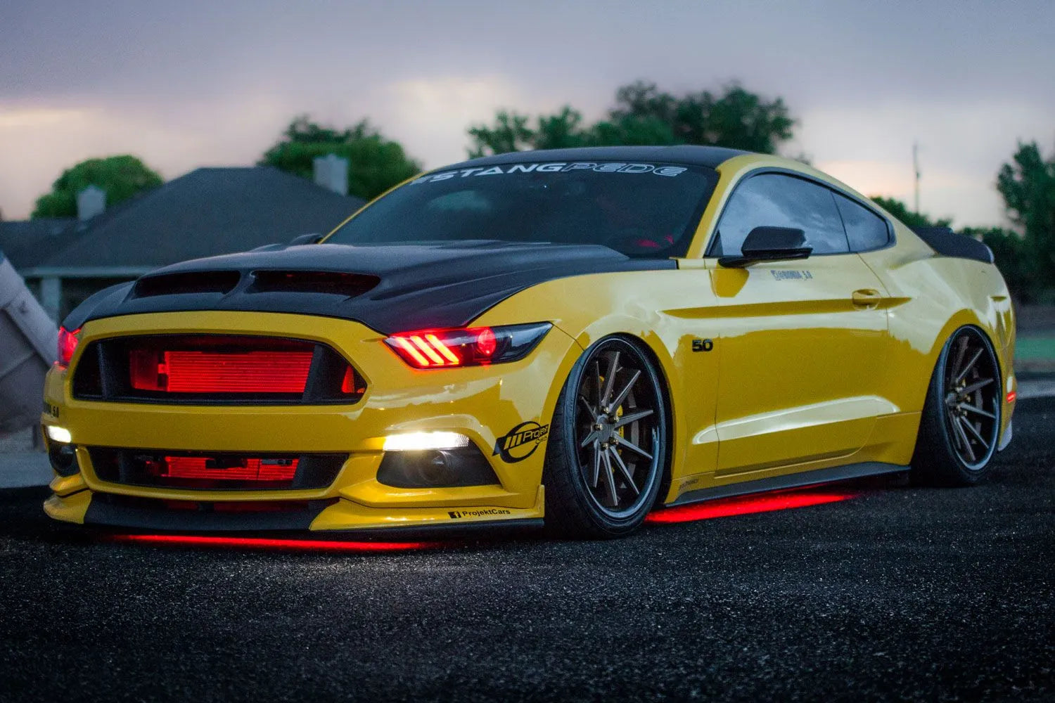 Diode Dynamics RGBW Multicolor Underglow LED Kit | Universal (DD0442)