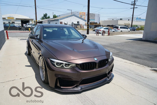 F8X CSV2 LIP PROTECTOR