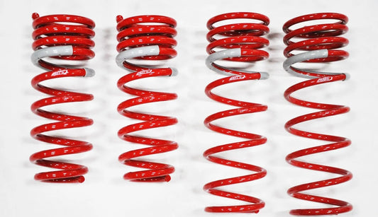 Tanabe NF210 Springs 06-07 GS300
