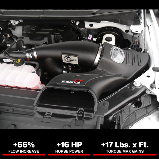 aFe Momentum GT Pro DRY S Intake System 2016 Ford F-150 EcoBoost V6-2.7L/3.5L (tt)