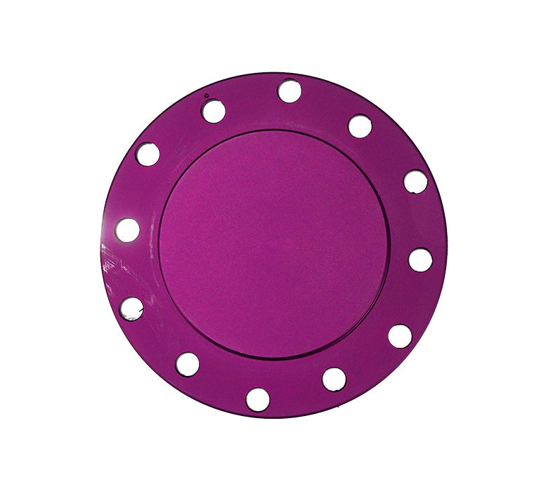 NRG HORN DELETE PLATE "FLUSH"