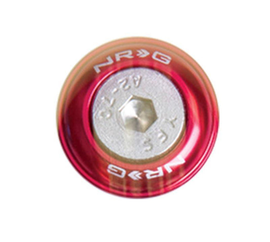 NRG Fender Washer Kit w/Rivets For Metal - Set of 10 (FW-110)