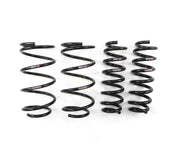 RS-R Ti2000 Down Sus Lowering Springs - 2012-2015 BMW 3 Series Sports Wagon (F31)