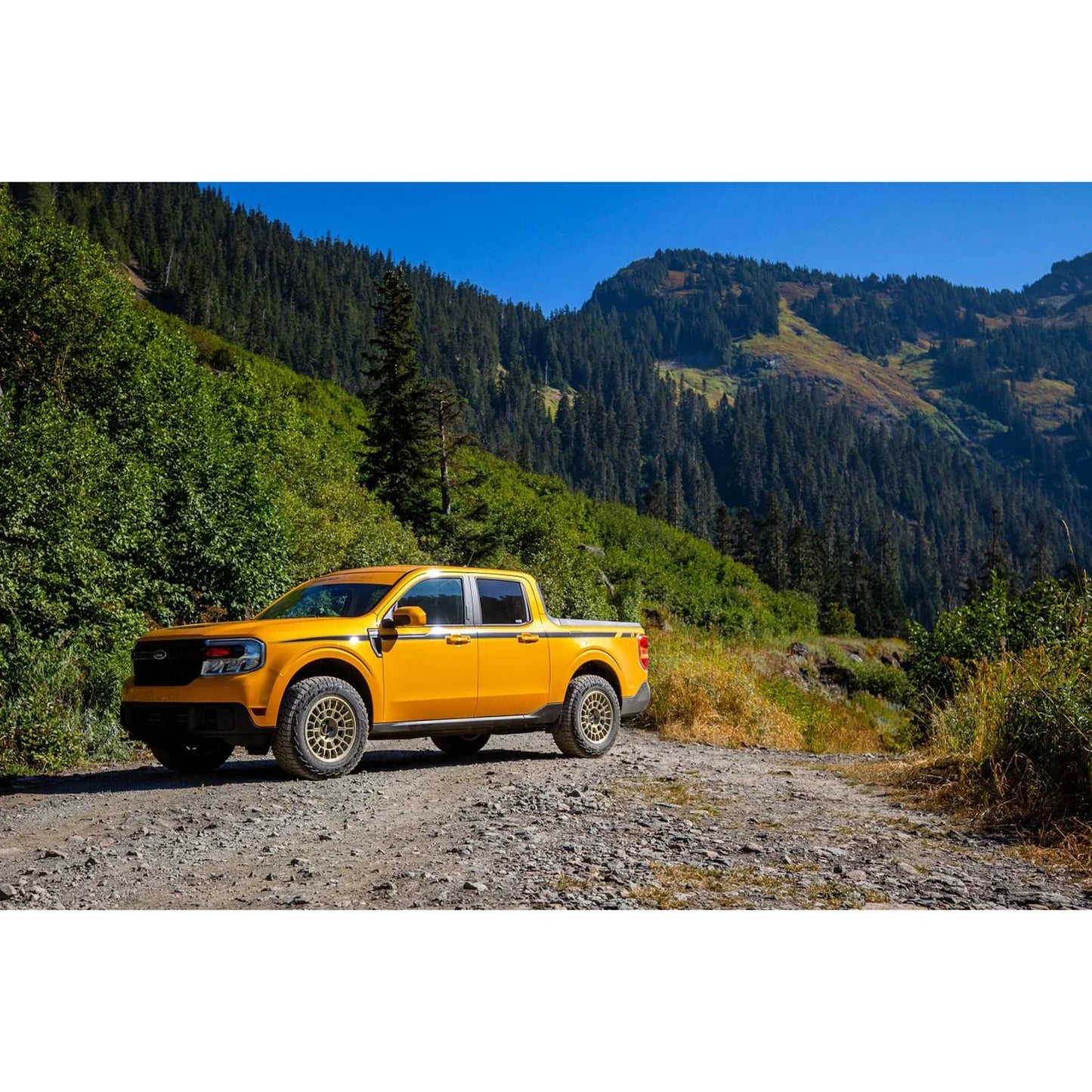 H&R 2022 Ford Maverick Lariat/XL/XLT Raising Spring