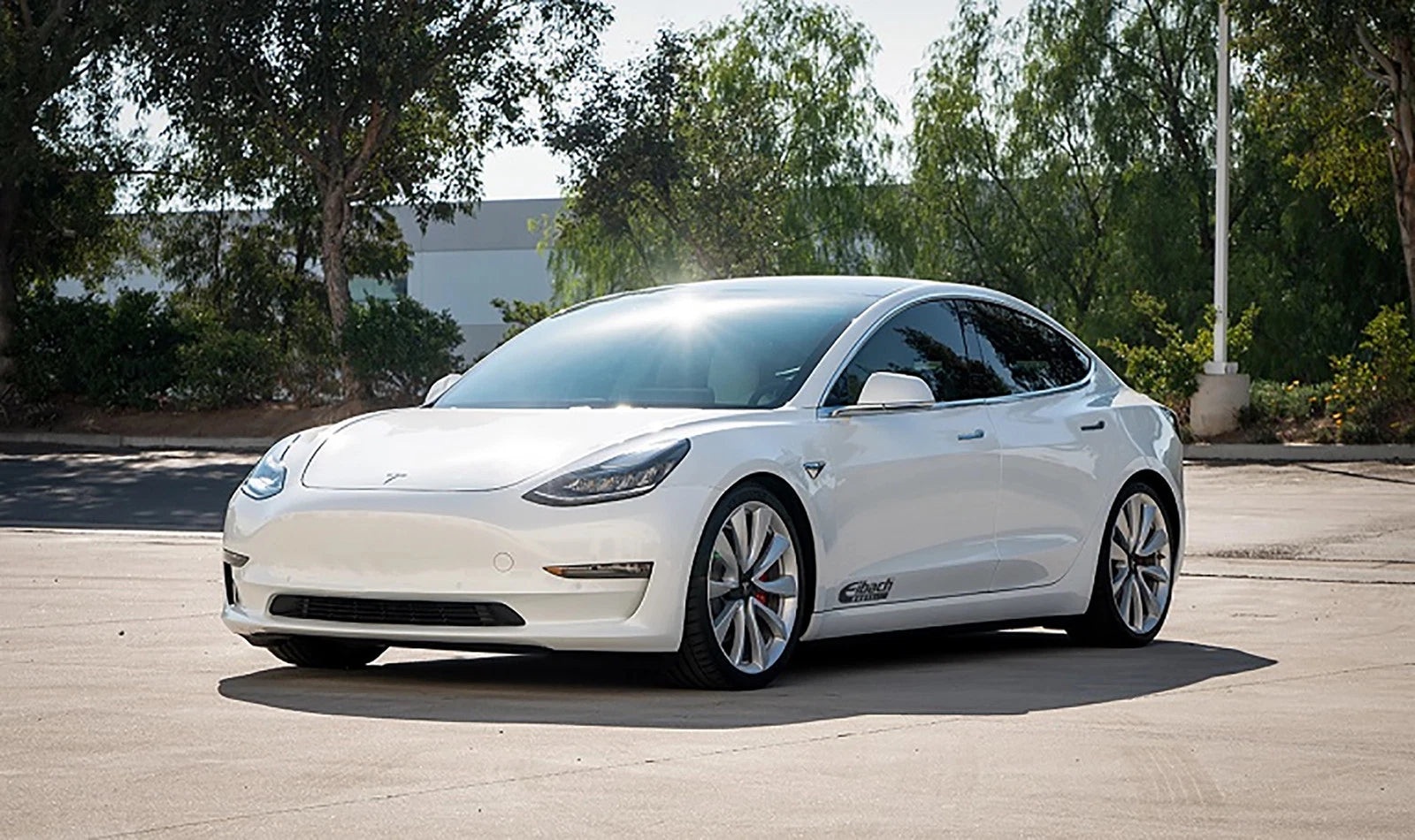 Eibach 18-20 Tesla Model 3 AWD Performance Pro-Kit