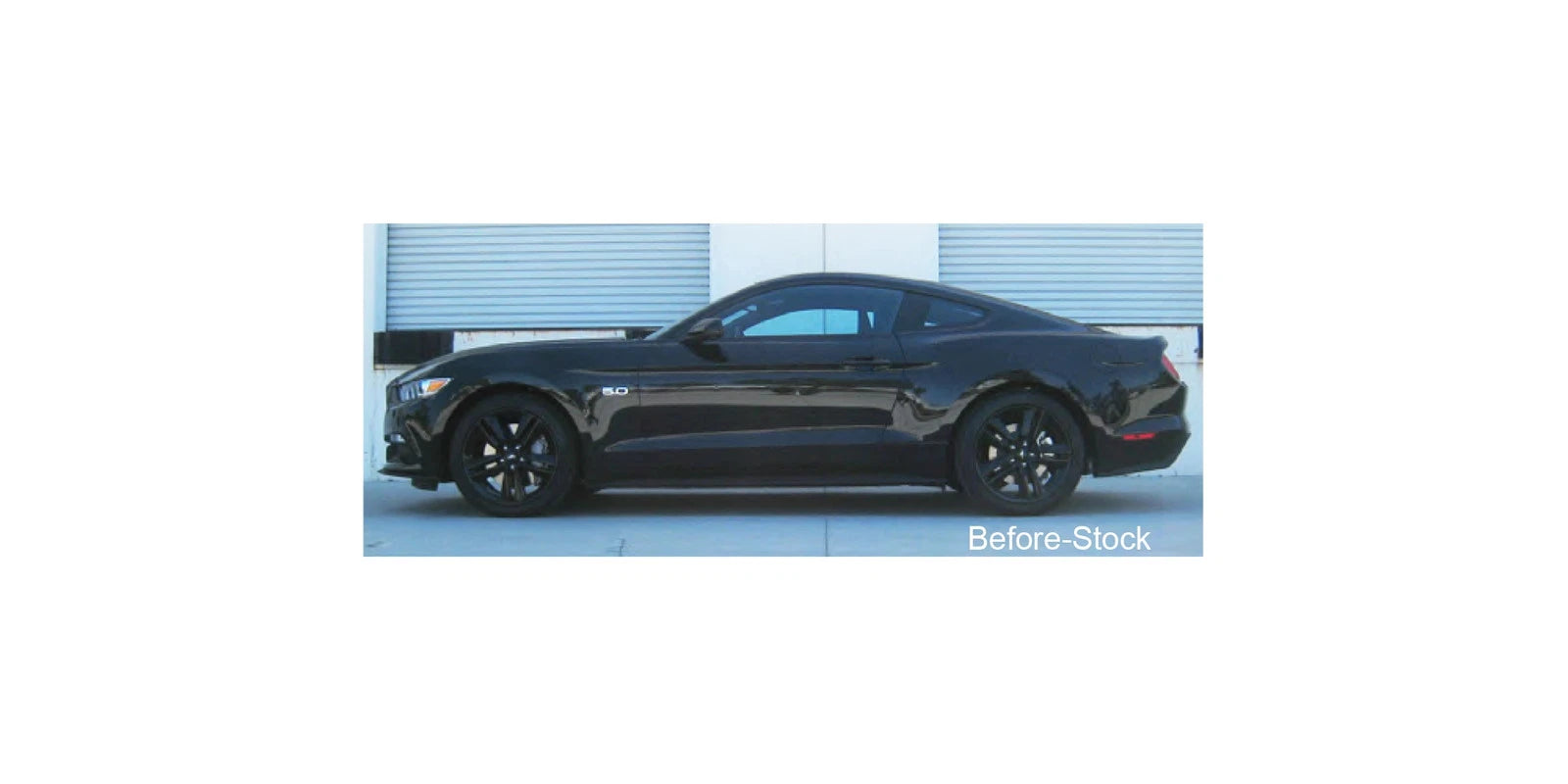 Eibach Sportline Kit for 2015 Mustang GT 5.0L V8