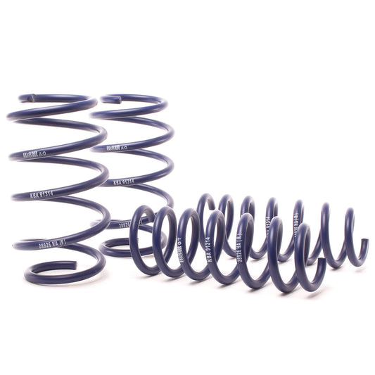 H&R 11-17 BMW X3 F25 Sport Spring