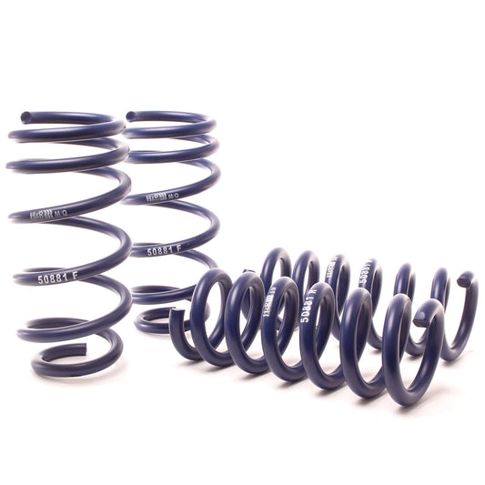 H&R 11-21 Dodge Charger SE/SXT/SXT Plus (2WD/4WD) Rallye/Plus/V6 Sport Spring