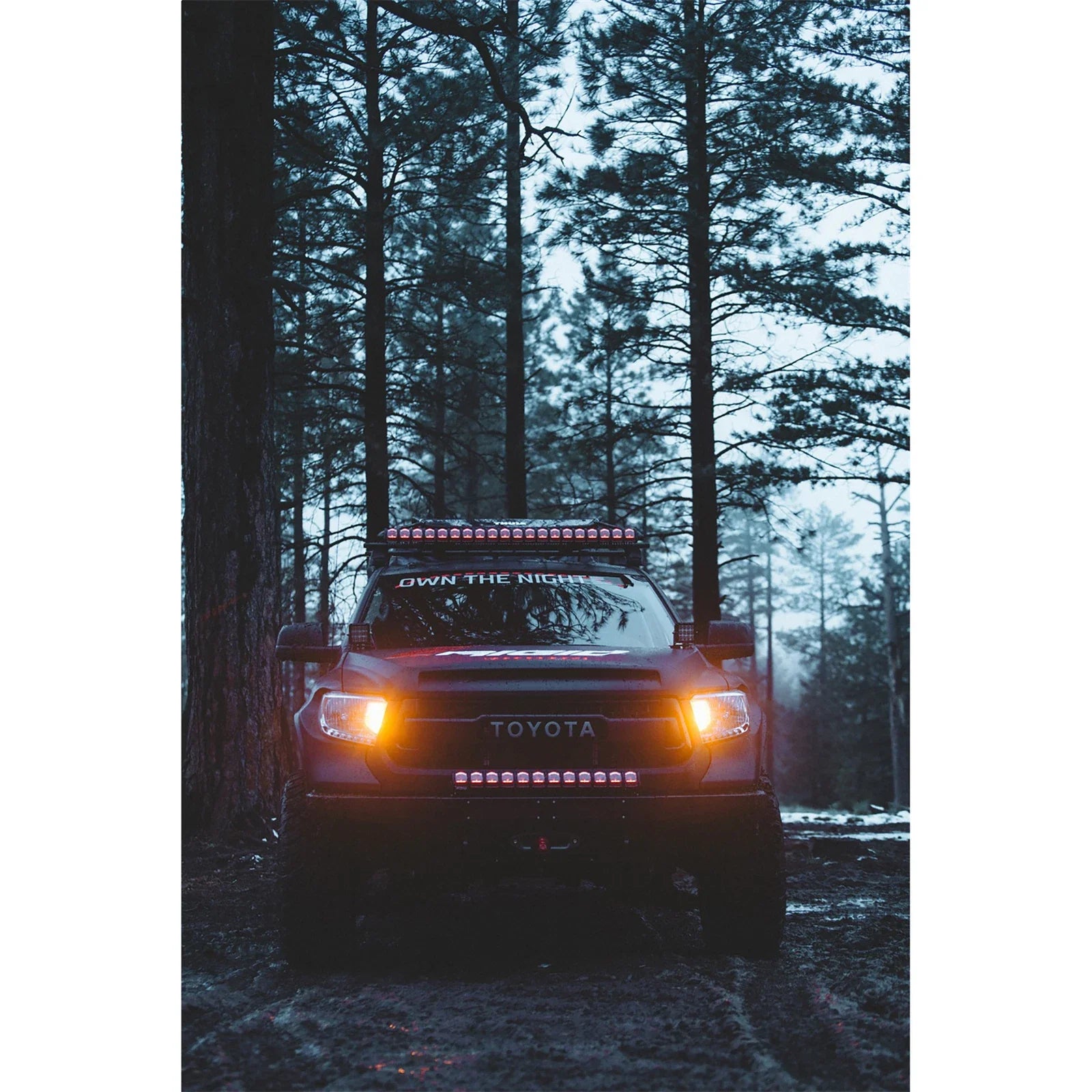 Rigid Industries 40in Adapt Light Bar