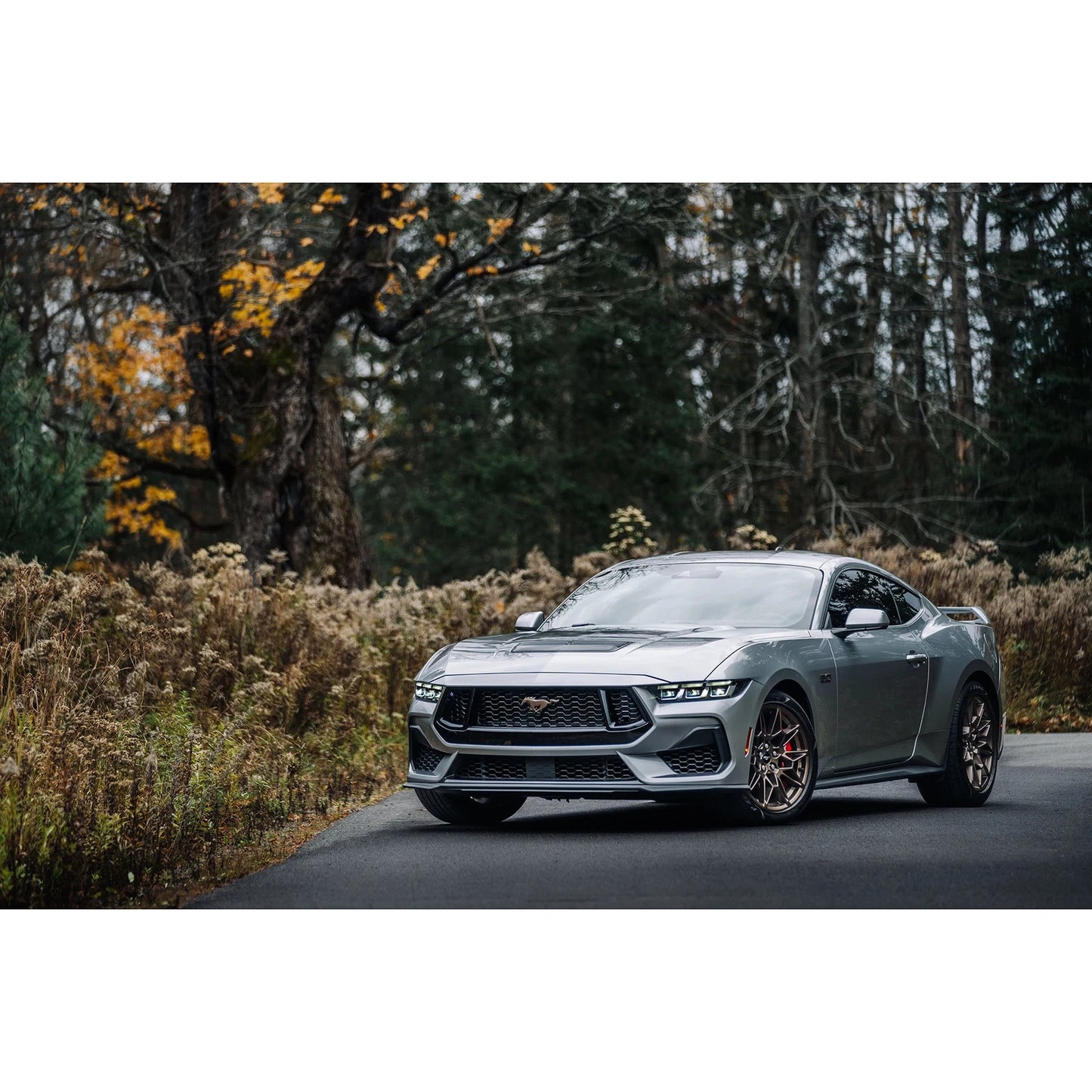 MBRP 2024+ Ford Mustang GT Armor Lite 3in Steet Profile Catback Exhaust - Stainless Steel Tips