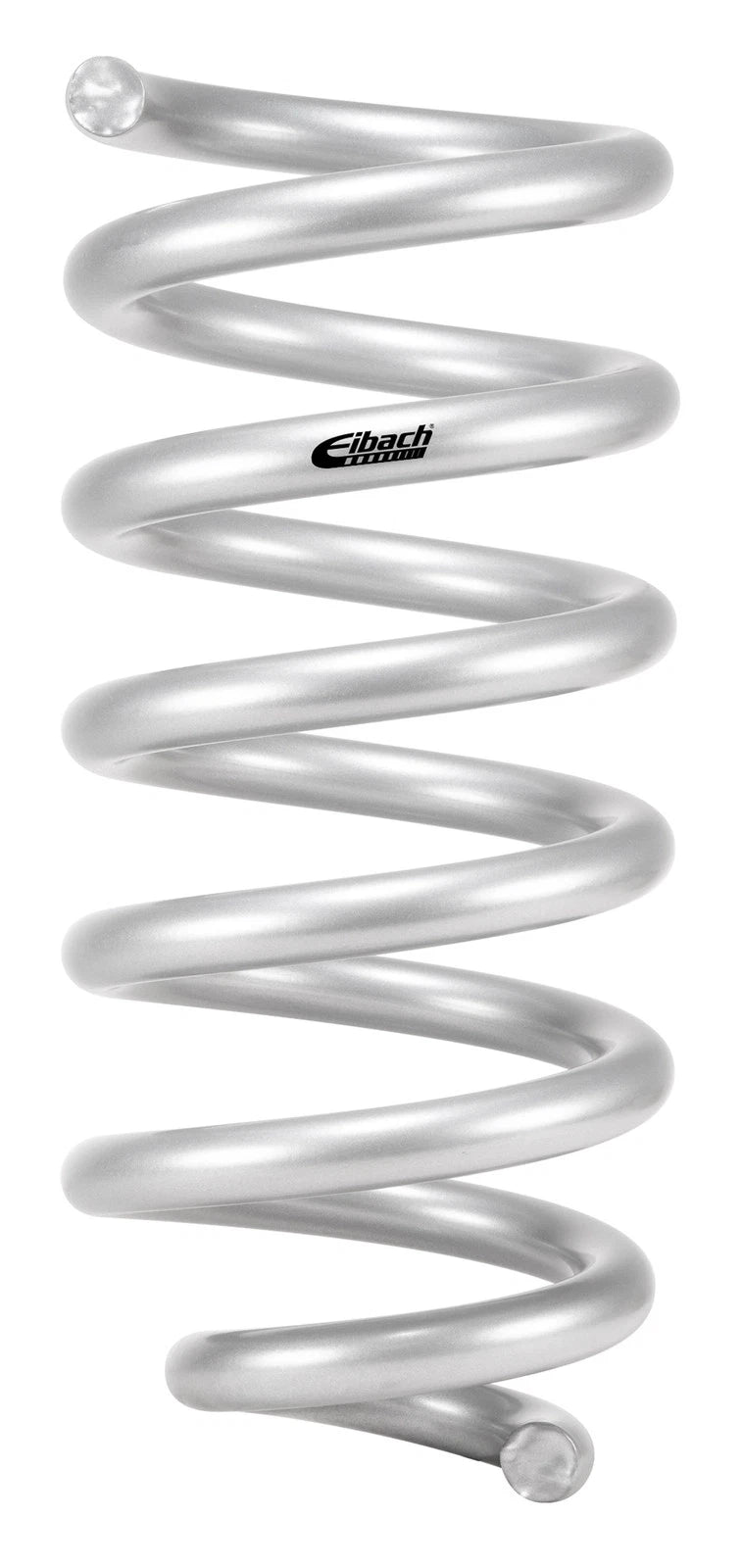 Eibach 18-24 Ford Expedition Stage 1 Rear Spring System
