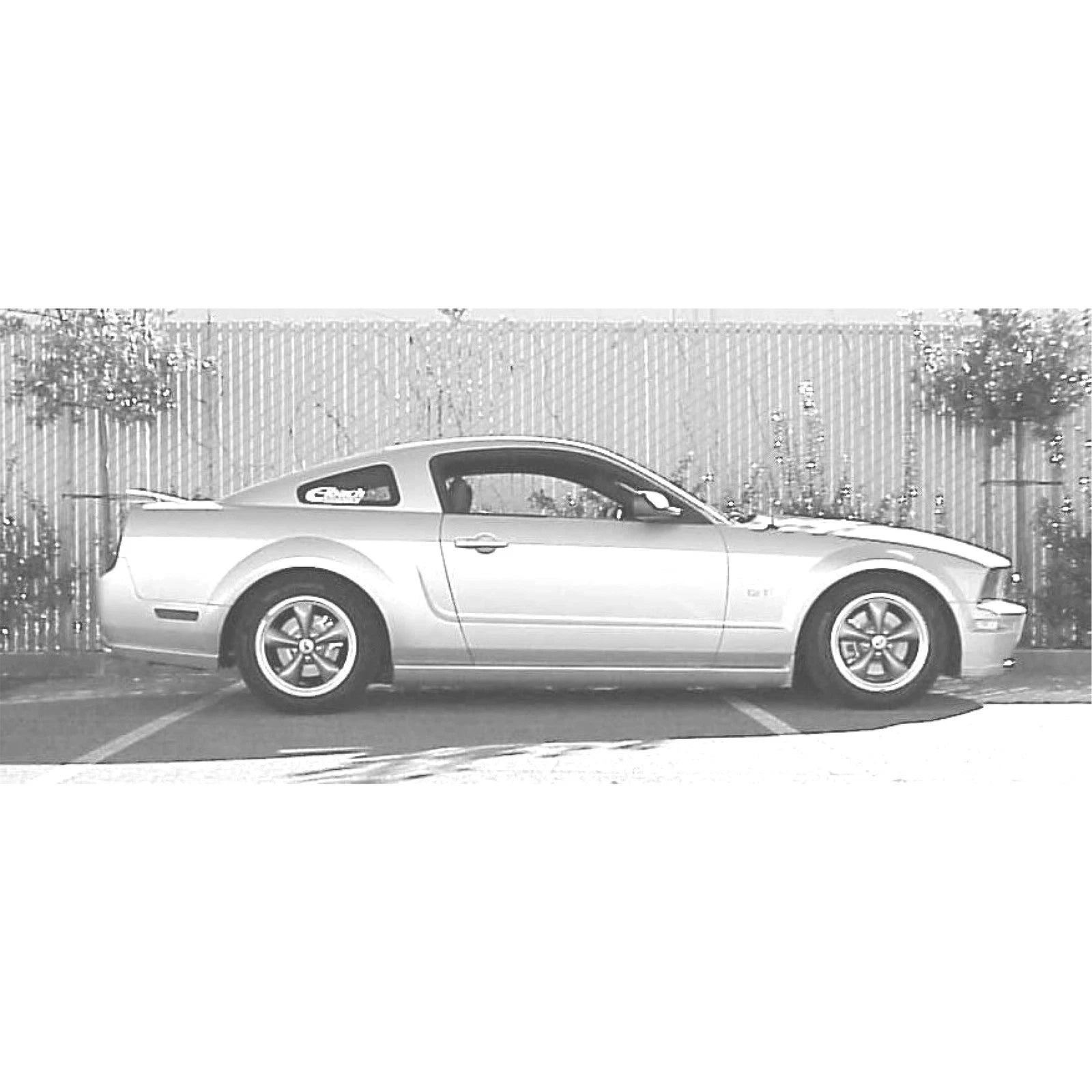 Eibach Sportline Kit for 05-07 Mustang S197 V8
