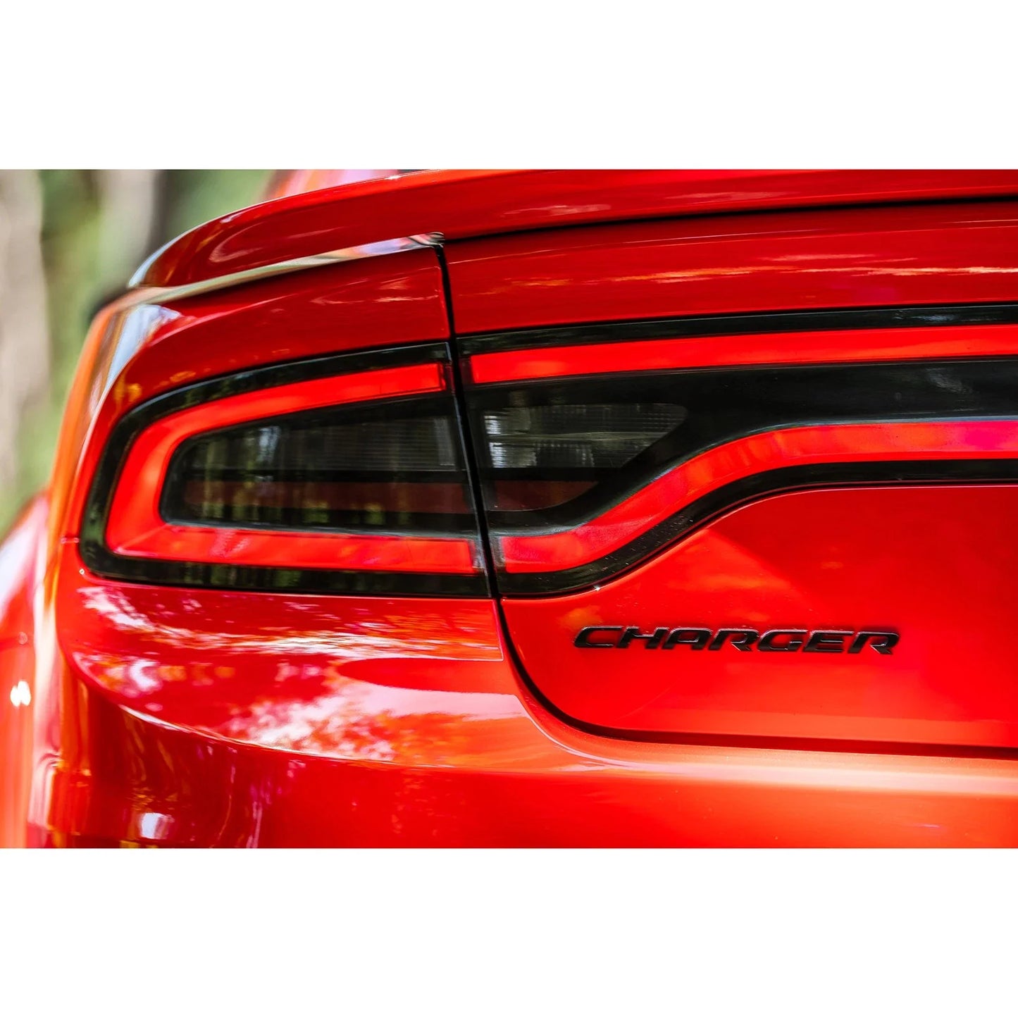 MBRP 17-21 Charger 5.7L/6.2L/6.4L 3in Race Profile Cat-Back w/ Dual Tips Aluminized Steel Exhaust