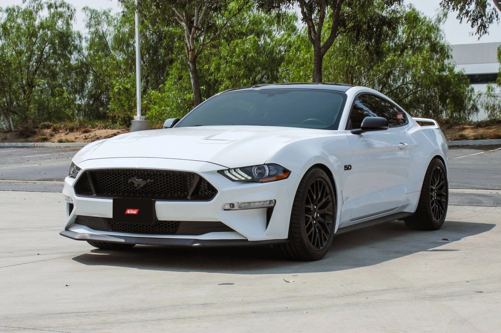 Eibach Sportline Kit for 2015 Mustang GT 5.0L V8