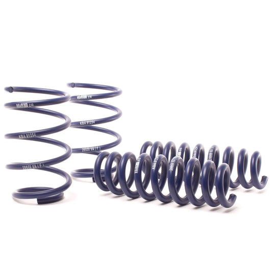 H&R Sport Spring Kit | BMW X1 xDrive28i AWD (13-15) (28959-1)