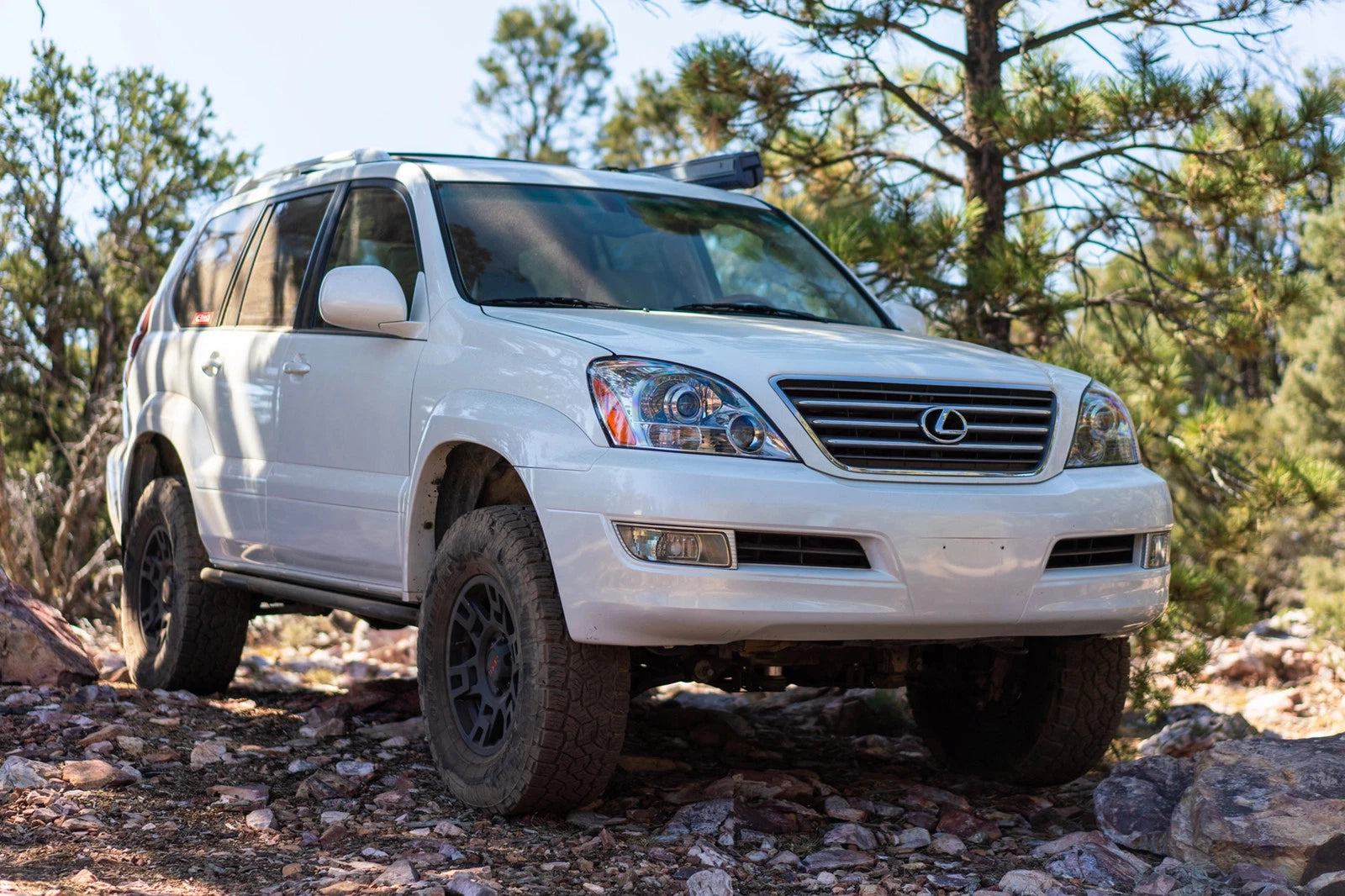 Eibach 03-09 Lexus GX470 Pro-Lift Kit (Rear HD Springs + Air Bag Delete) - 3.0in Rear