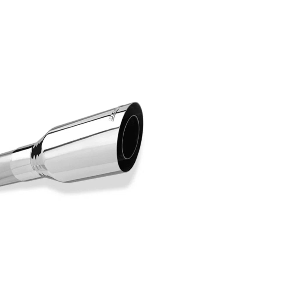 Borla 96-02 Toyota 4Runner 2.7L 4cyl/3.4L 6cyl 2WD/4WD Dual Right Rear Exit Catback Exhaust System
