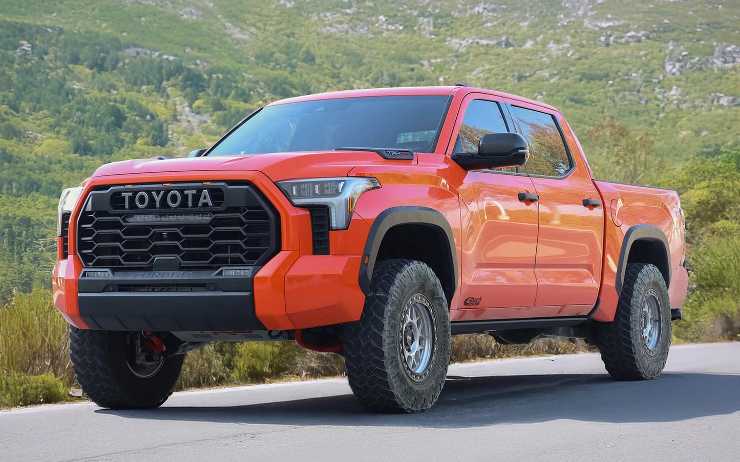 Eibach 2022+ Toyota Tundra TRD 4WD Pro-Kit Rear Springs Only