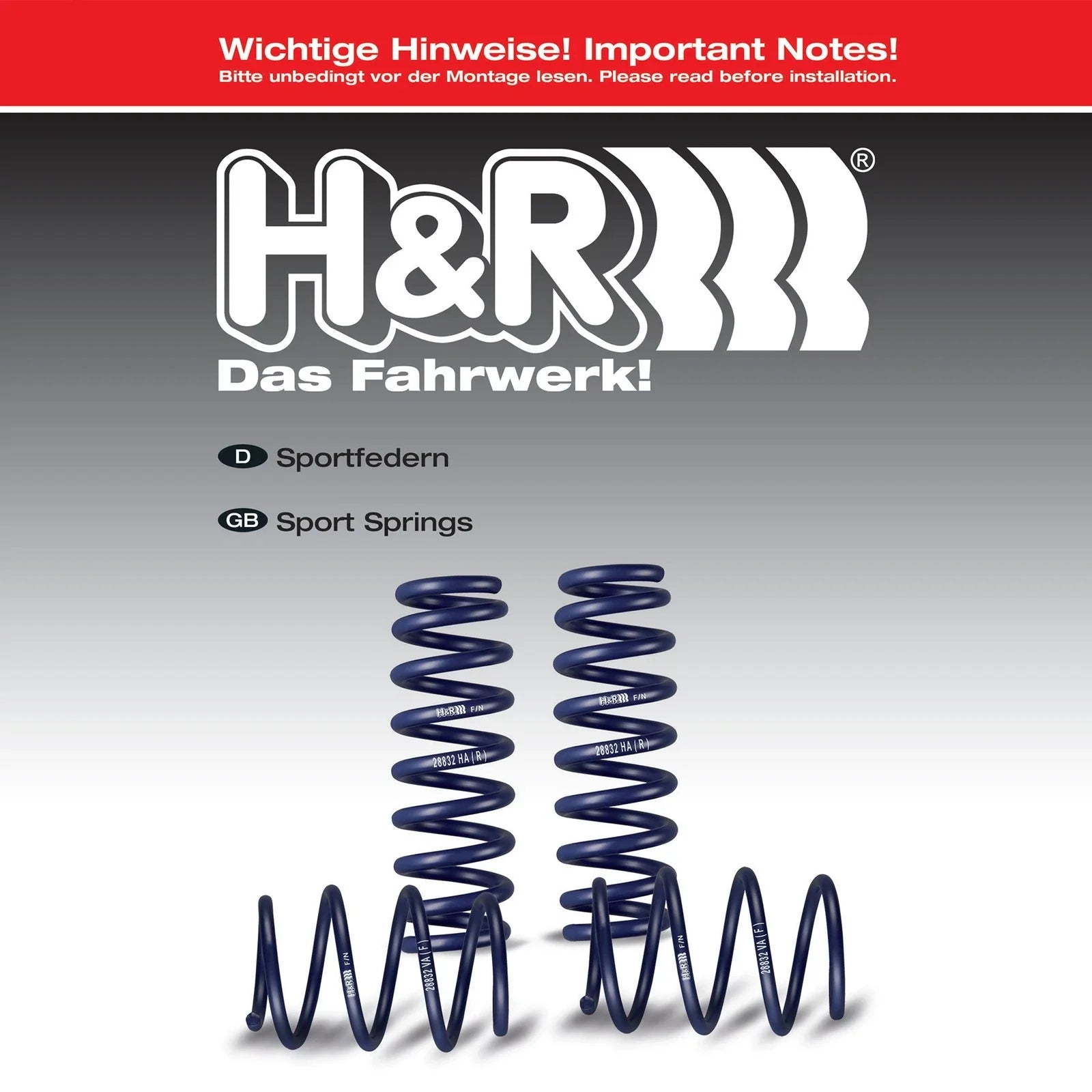 H&R 19-21 Hyundai Veloster N PDE Sport Spring (Incl. Performance Package)