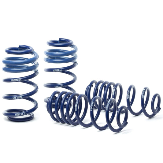 H&R 09-16 Audi A4/A4 Quattro/S4 (2WD/4WD) B8 OE Sport Spring