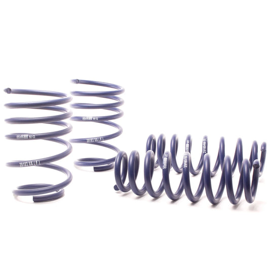 H&R Race Spring Kit | BMW 328i Sedan/335i Sedan (07-11) (50490-88)