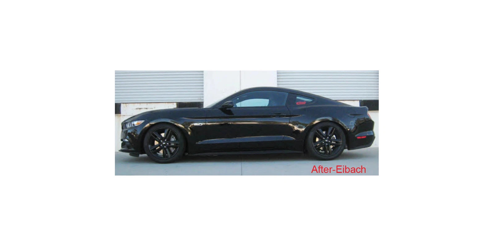 Eibach Sportline Kit for 2015 Mustang GT 5.0L V8