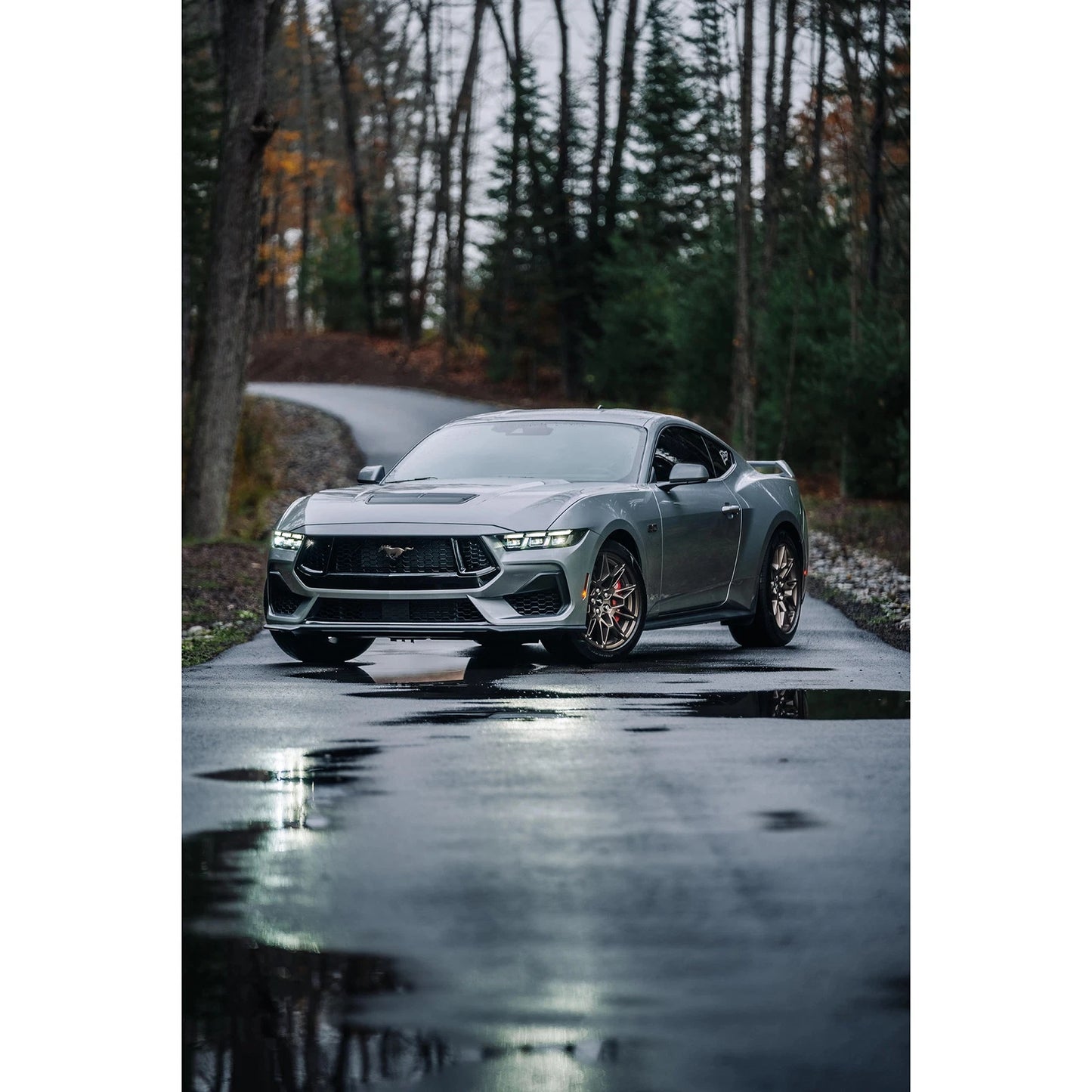 MBRP 2024+ Ford Mustang 5.0L T304 SS 3in Cat-Back Dual Split Exhaust w/ Quad Tips (Valve Delete)
