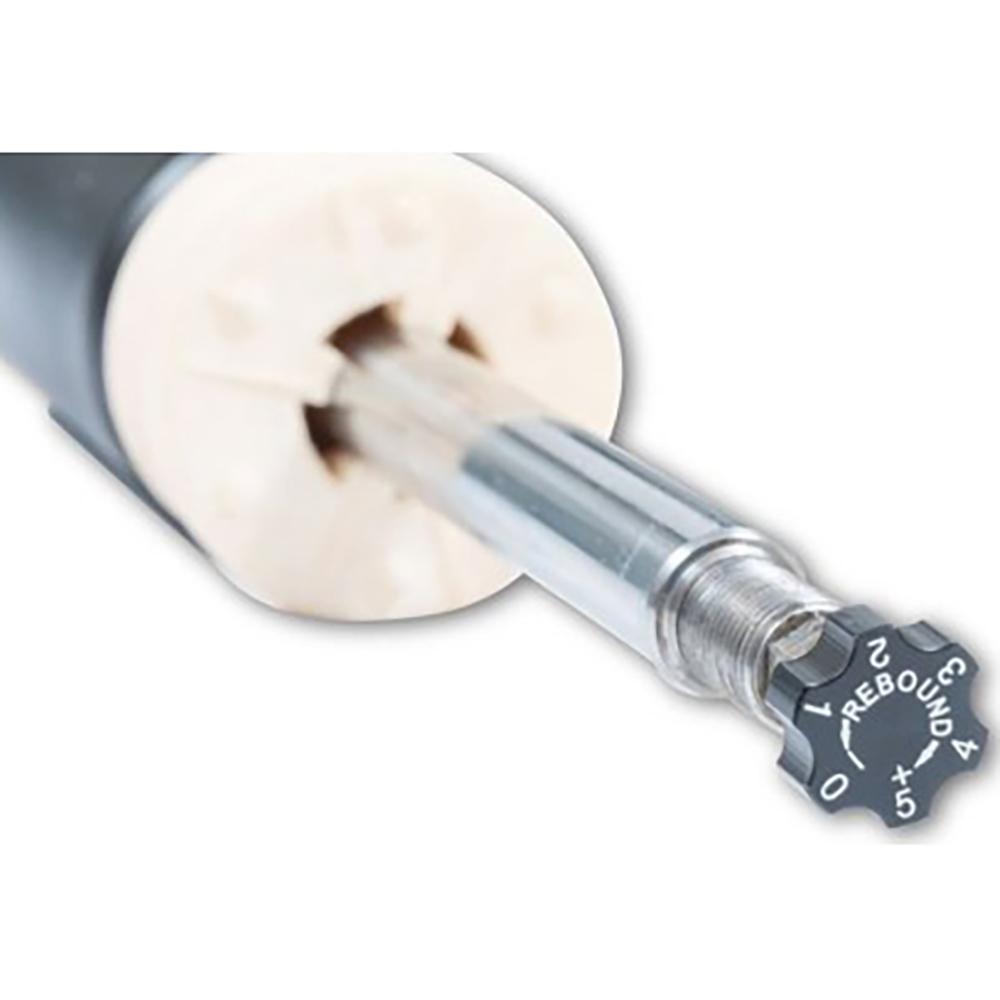 ST Suspension XTA Adjustable Coilovers | 2015-2018 BMW M3 and 2015-2018 BMW M4 (182208AN)