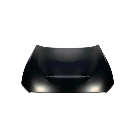 F22/87 ALUMINUM GTS HOOD